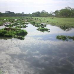 La beauté du paysage congolais